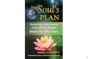 Your Soul's Plan: Discovering the Real Meaning of the Life You Planned Before You Were Born book cover