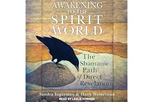 Awakening to the Spirit World: The Shamanic Path of Direct Revelation book cover