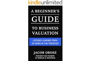 A Beginner's Guide to Business Valuation: Lessons Learned from 20 Years in the Trenches book cover