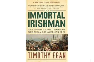 The Immortal Irishman: The Irish Revolutionary Who Became an American Hero book cover