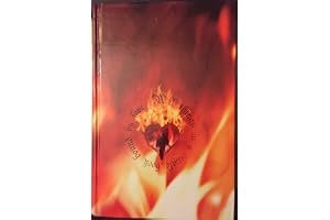 The Gargoyle book cover