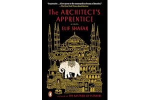 The Architect's Apprentice book cover