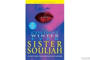 The Coldest Winter Ever book cover