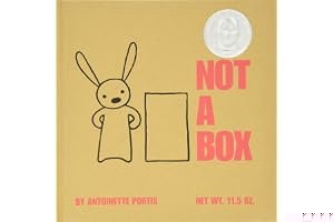 Not a Box book cover