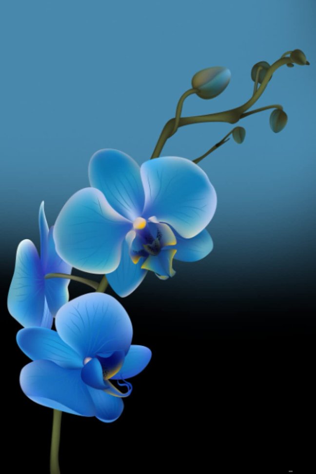 Blue Orchid Password Keeper Internet Password Book: “Find it Fast” Passwords Logbook with Big Alphabetical Tabs and Discreet Cover, Plus Sections to ... Passwords Organizer for Teens to Seniors book cover