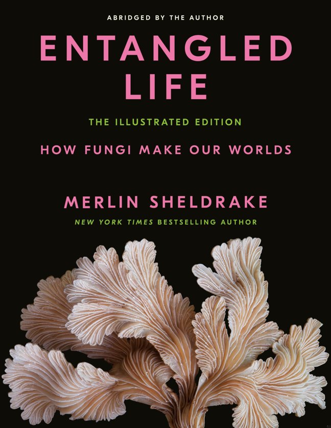 Entangled Life: The Illustrated Edition: How Fungi Make Our Worlds book cover