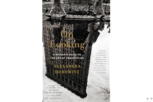 On Looking: Eleven Walks with Expert Eyes book cover