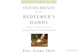 Instruments in the Redeemer's Hands: People in Need of Change Helping People in Need of Change book cover