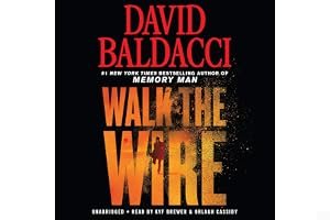 Walk the Wire (Amos Decker #6) book cover