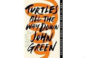 Turtles All the Way Down book cover