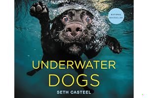 Underwater Dogs book cover