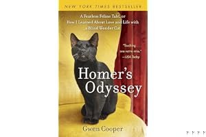 Homer's Odyssey book cover