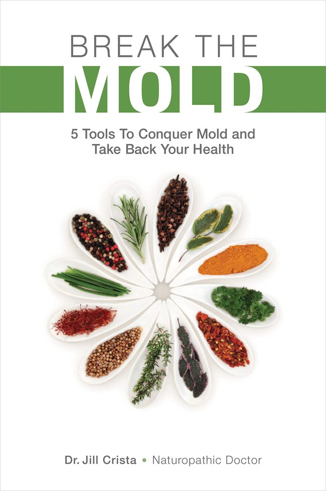 Break The Mold book cover