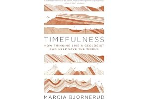 Timefulness: How Thinking Like a Geologist Can Help Save the World book cover