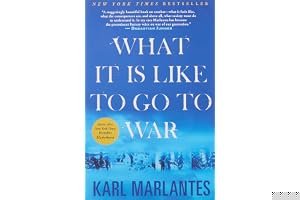 What It is Like to Go to War book cover