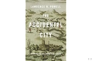 The Accidental City: Improvising New Orleans book cover