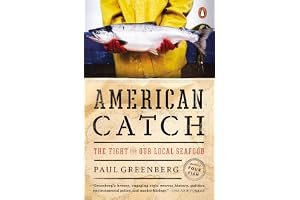 American Catch: The Fight for Our Local Seafood book cover