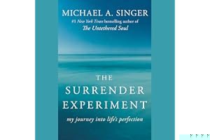 The Surrender Experiment: My Journey into Life's Perfection book cover