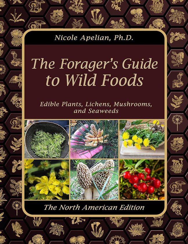 The Forager’s Guide to Wild Foods book cover
