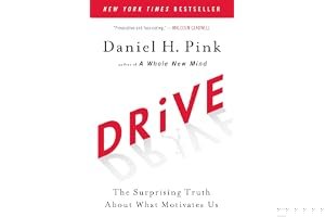 Drive: The Surprising Truth About What Motivates Us book cover