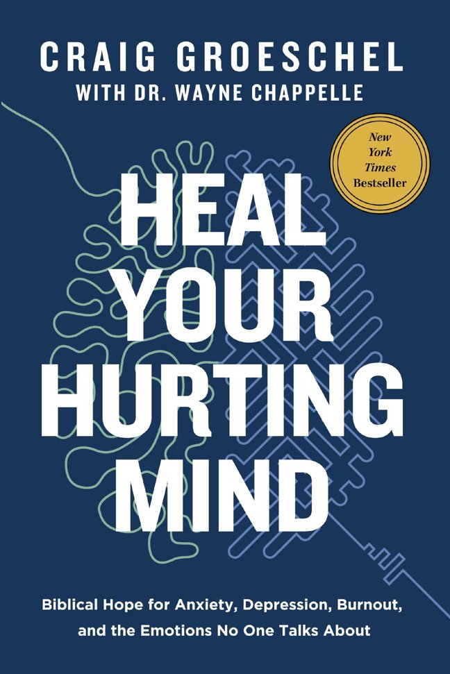 Heal Your Hurting Mind: Biblical Hope for Anxiety, Depression, Burnout, and the Emotions No One Talks About book cover