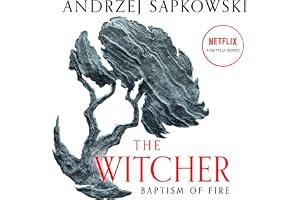 Baptism of Fire (The Witcher Book 3) book cover