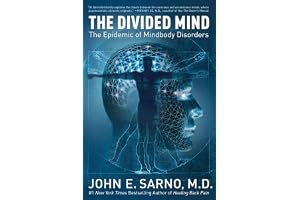 The Divided Mind: The Epidemic of Mindbody Disorders book cover