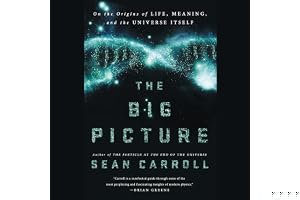 The Big Picture: On the Origins of Life, Meaning, and the Universe Itself book cover