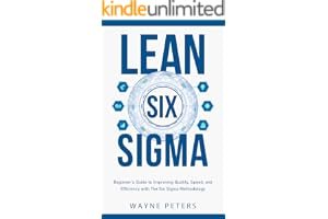 Lean Six Sigma: Beginner’s Guide to Improving Quality, Speed, and Efficiency With the Six Sigma Methodology (Start Your Busin book cover