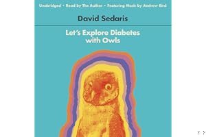 Let's Explore Diabetes with Owls book cover