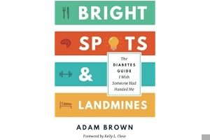 Bright Spots & Landmines: The Diabetes Guide I Wish Someone Had Handed Me book cover