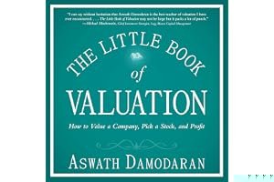 The Little Book of Valuation: How to Value a Company, Pick a Stock and Profit book cover