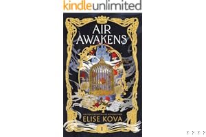 Air Awakens (Air Awakens, #1) book cover