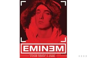 The Way I Am book cover
