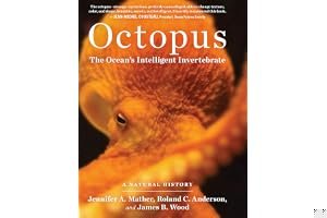 Octopus: The Ocean's Intelligent Invertebrate book cover