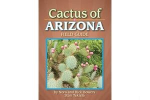 Cactus of Arizona Field Guide book cover