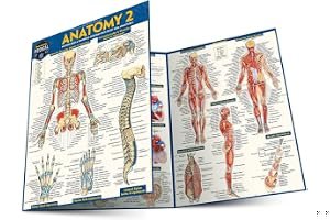 Anatomy 2 (Quick Study Academic) book cover