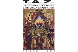 TAZ: The Temporary Autonomous Zone (New Autonomy) book cover