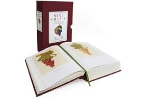 Vines, Grapes and Wines book cover