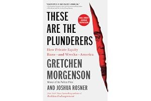 These Are the Plunderers: How Private Equity Runs—and Wrecks—America book cover
