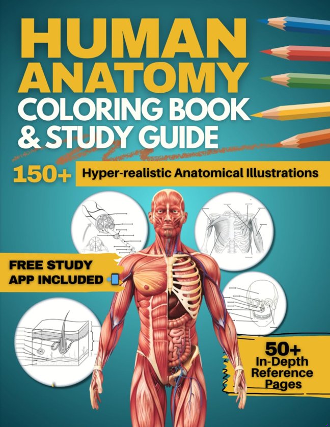 Human Anatomy Coloring Book and Study Guide: 150+ Hyper-Realistic Anatomical Illustrations, 50+ In-depth Anatomy and Physiology Study Guide Pages, and ... Medical, Nursing, and Healthcare Students. book cover