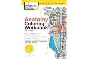 Anatomy Coloring Workbook: An Easier and Better Way to Learn Anatomy book cover