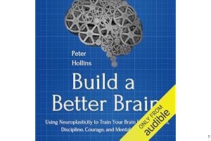 Build a Better Brain: Using Neuroplasticity to Train Your Brain for Motivation, Discipline, Courage, and Mental Sharpness book cover