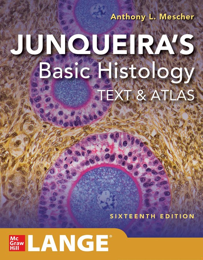 Junqueira's Basic Histology: Text and Atlas, Sixteenth Edition book cover