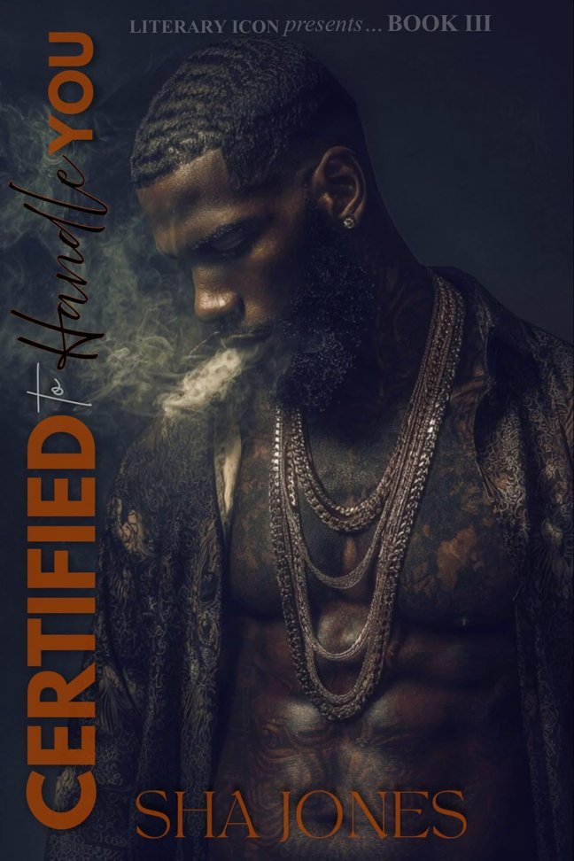 Certified to Handle You 3 book cover