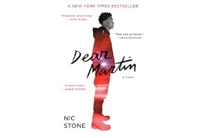 Dear Martin (Dear Martin, #1) book cover