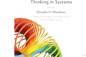 Thinking in Systems: A Primer book cover