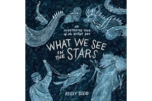 What We See in the Stars: An Illustrated Tour of the Night Sky book cover