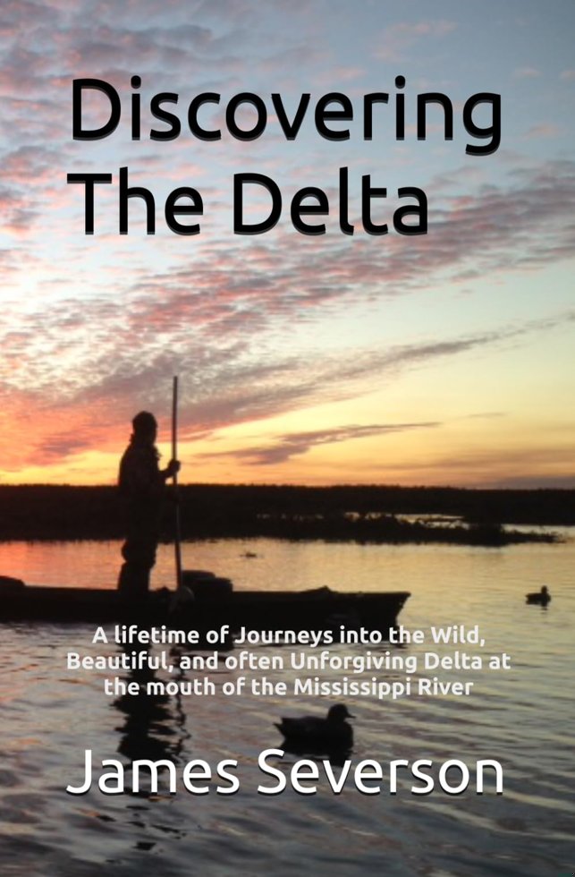 Discovering The Delta book cover