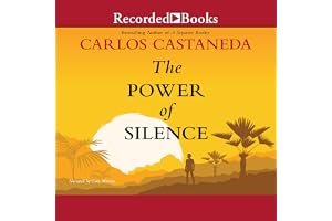The Power of Silence: Against the Dictatorship of Noise book cover